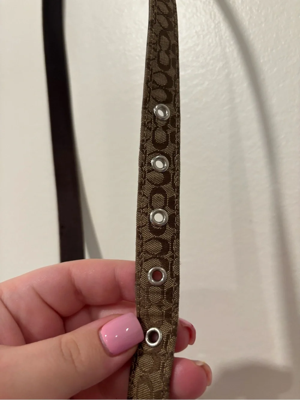 Women’s Coach Belt